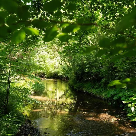 Sanmar Wood Meisdorf